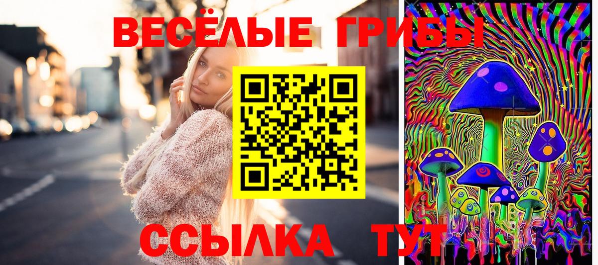 Сатка  купить закладку  Вход с VPN  Псилоцибиновые грибы Psilocybine cubensis 