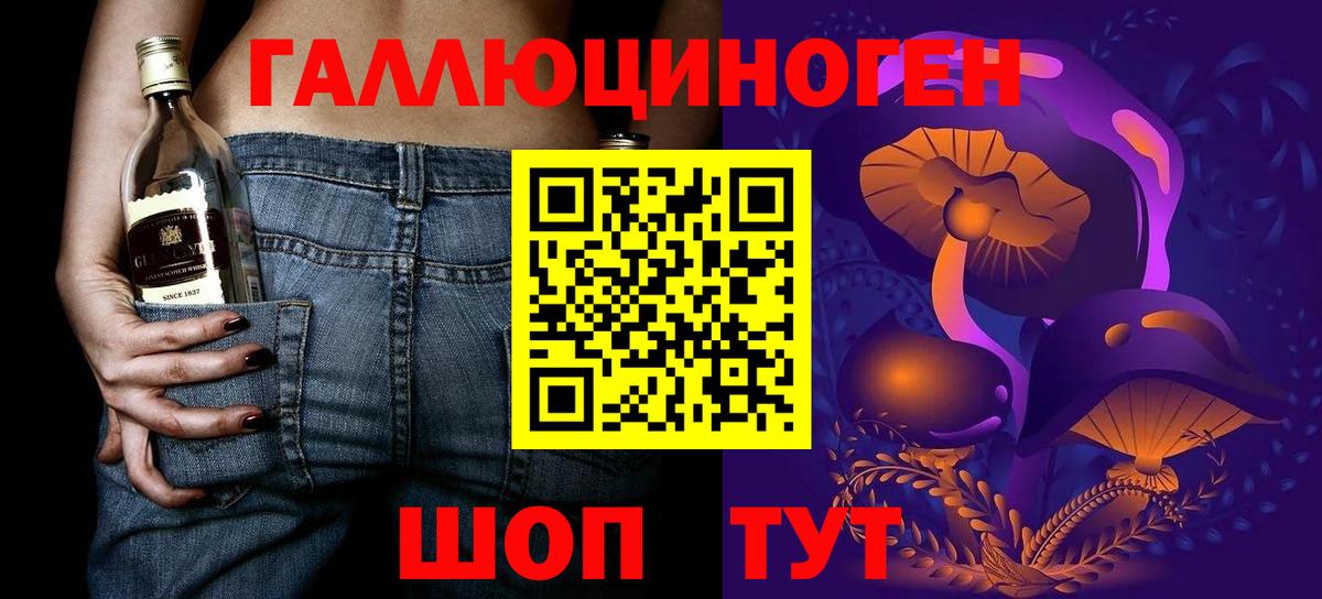 Галлюциногенные грибы Psilocybe Сатка
